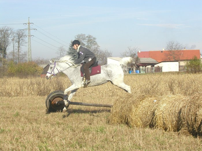 P1010088.JPG
